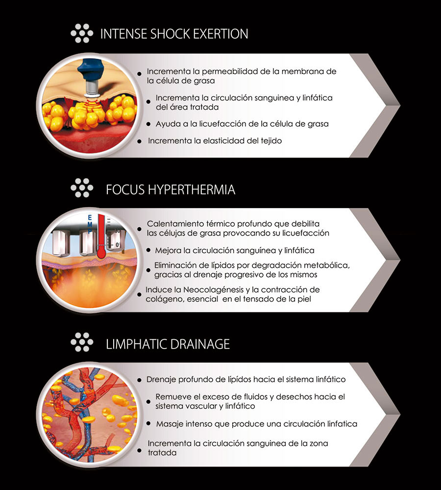LIPOKONTUR MEXICO SHYLD CONCEPT